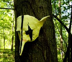 Goblin Hovel : The Cinnabar Fields